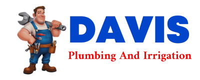 Trusted plumber in ARION